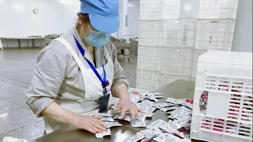 面對面服務 點對點幫扶——漢濱區精準發力穩增長側記